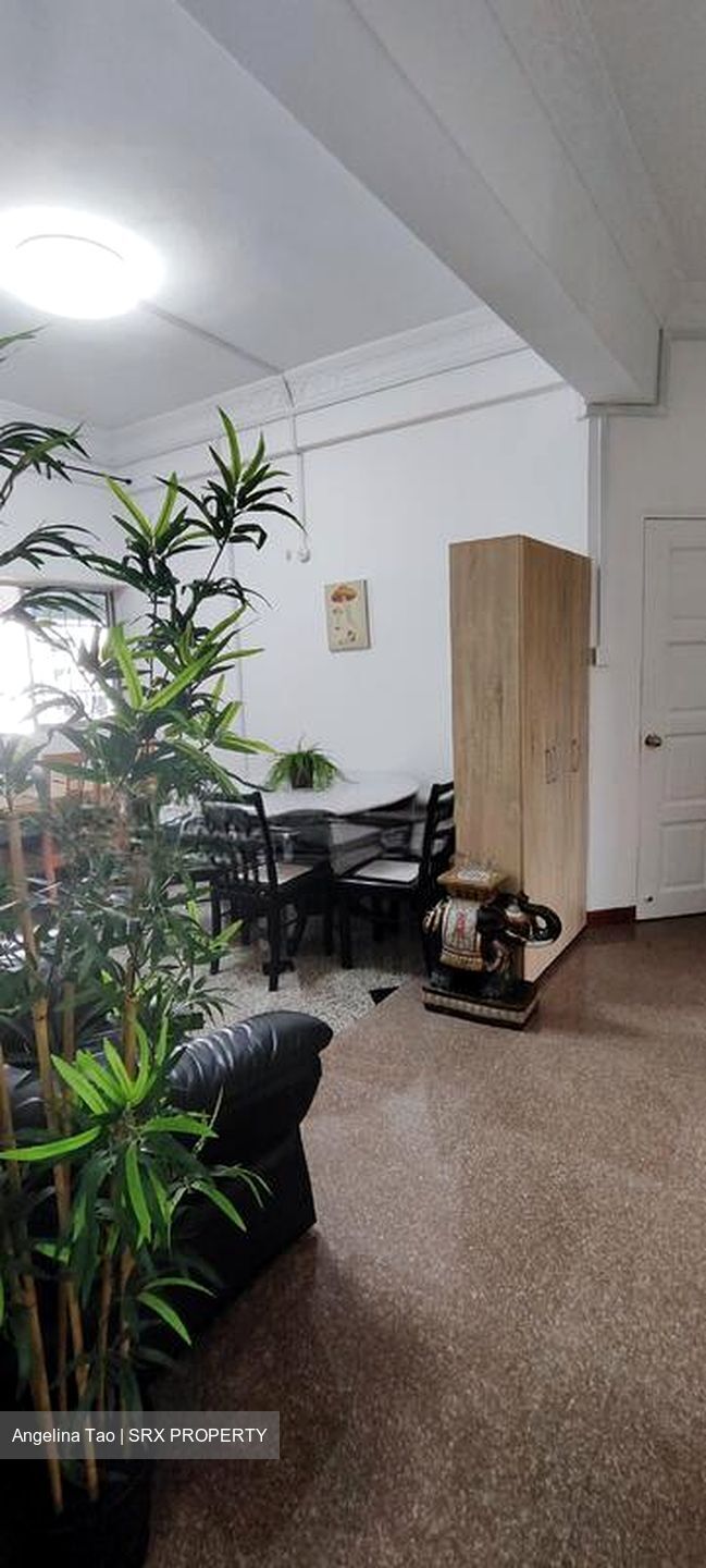 Balestier Plaza (D12), Apartment #498945631